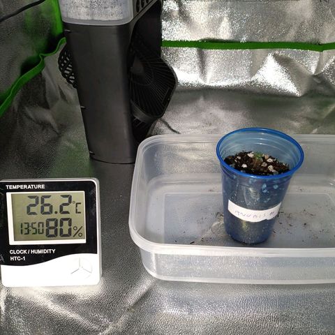 Anubis growlog timeline photo
