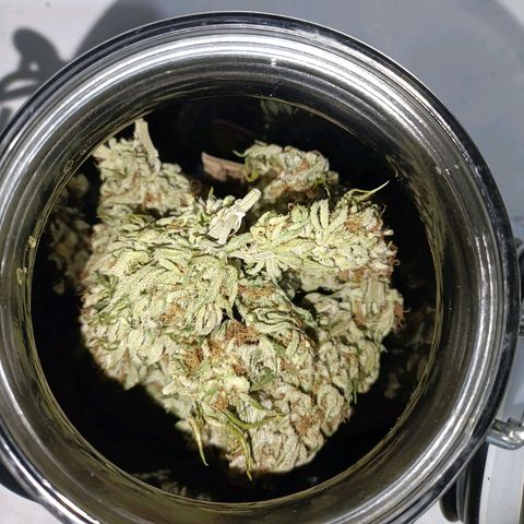 Anubis growlog timeline photo