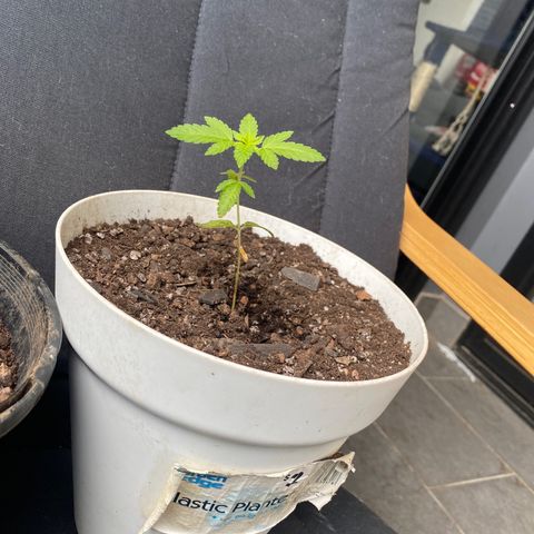 Generic1 growlog timeline photo