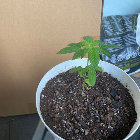 Generic1 growlog timeline photo