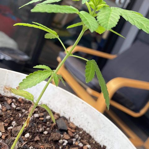 Generic1 growlog timeline photo
