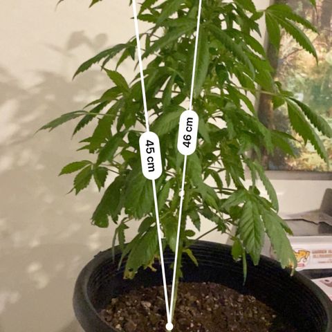 Generic1 growlog timeline photo