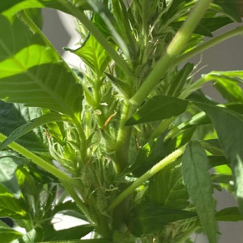 Generic1 growlog timeline photo