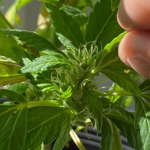 Generic1 growlog timeline photo