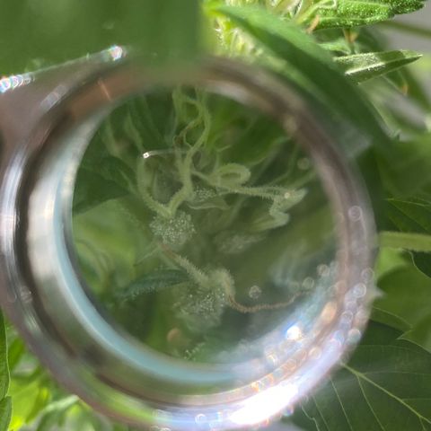 Generic1 growlog timeline photo