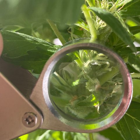 Generic1 growlog timeline photo