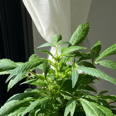 Generic1 growlog timeline photo