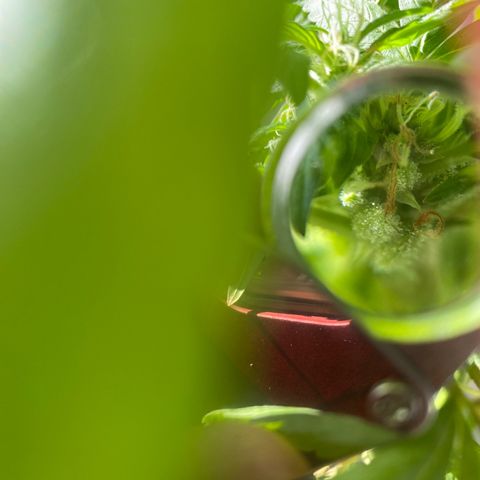 Generic1 growlog timeline photo