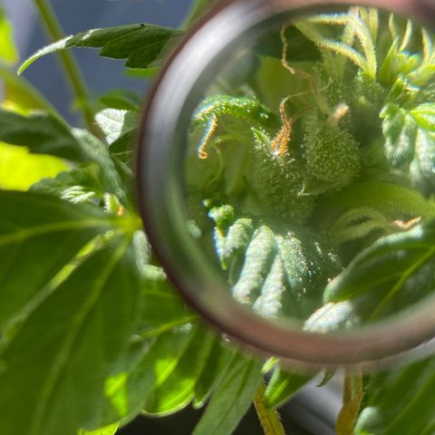 Generic1 growlog timeline photo