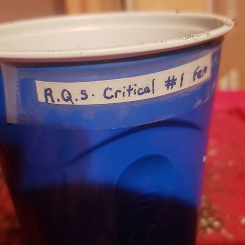R.Q.S. Critical #1 (Fem) growlog photo