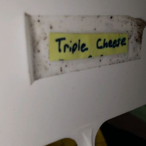 Triple Cheese #1(Fem) growlog timeline photo
