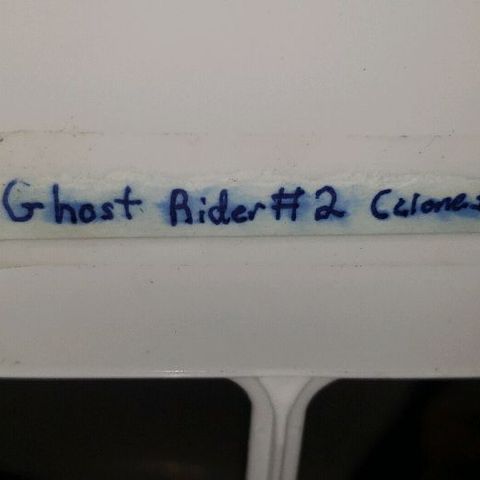 Ghost Rider #2 (Clone#1) growlog timeline photo
