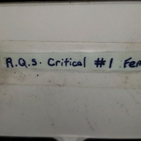 R.Q.S. Critical #1 (Fem) growlog photo: Day 47 of flower