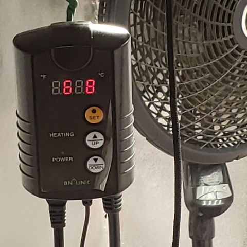 SLOAN LED 480w 4,000k(OG's Kush #2)(Fem) growlog timeline photo