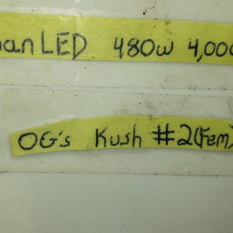 SLOAN LED 480w 4,000k(OG's Kush #2)(Fem) growlog timeline photo