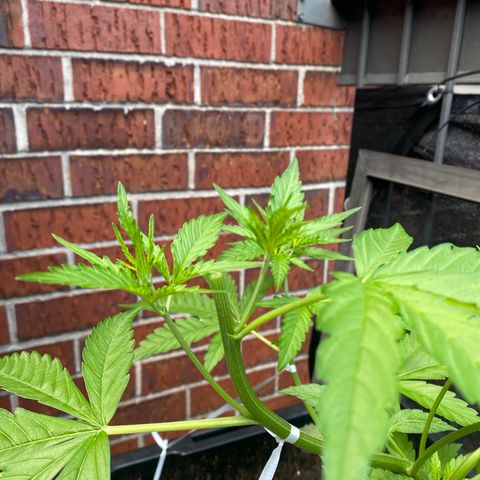 V3 growlog photo: Lets pray
