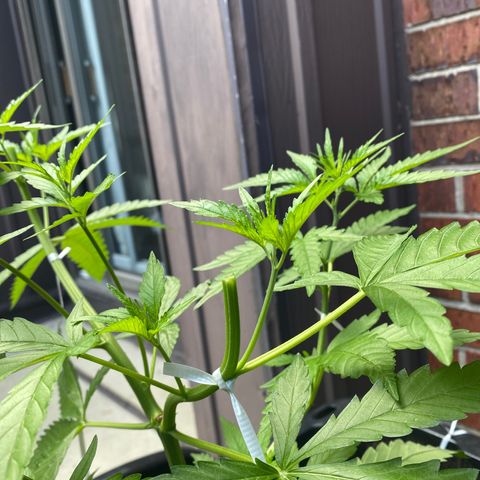 V3 growlog photo: Lets pray