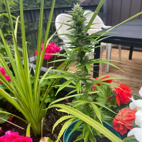 V3 growlog photo: Les bébés 