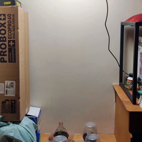 OG Kush growlog timeline photo