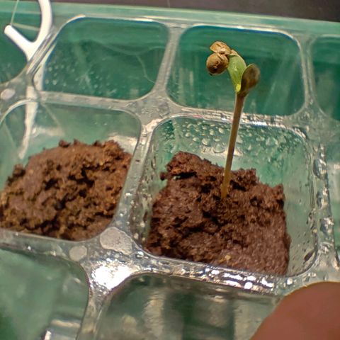Duncan growlog photo: Yes! We're so back! 