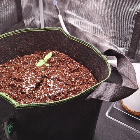 Duncan growlog timeline photo