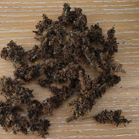 Connor growlog timeline photo