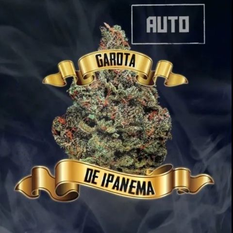 California O. G. x Manga Rosa Auto growlog timeline photo