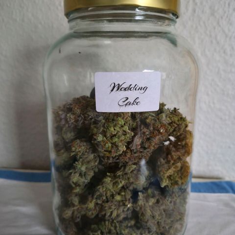 Wedding Cake growlog timeline photo