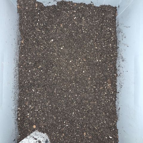Wedding Cake 2. growlog photo: Angemischte Erde
