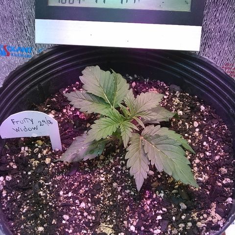 Lorena growlog photo: 😃😃😃
