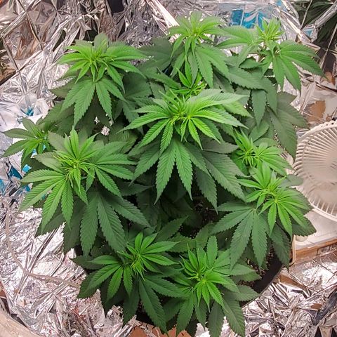 GDP growlog photo: ❤️ 