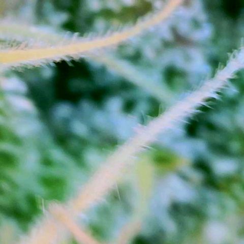 GDP growlog photo: ❤️ 