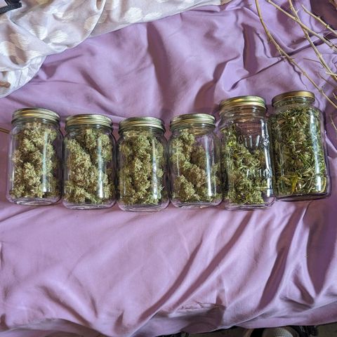 GDP growlog photo: ❤️ love ya girl..