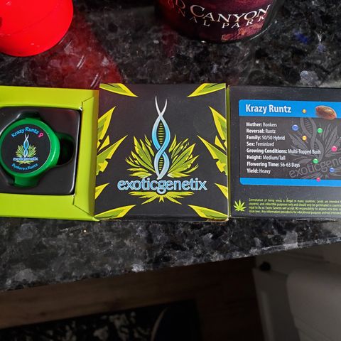 Krazy Runtz #01 growlog timeline photo