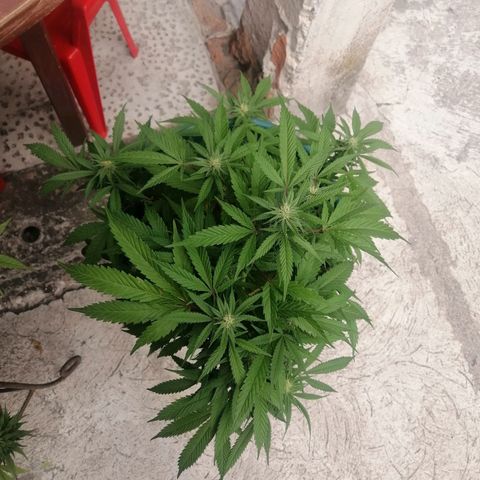 Washing machine beta growlog timeline photo