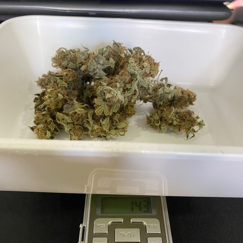Colombian Gold #1 growlog photo: 15.4g de pipoquinhas
14.30g de bud (em média 1g cada 

2.8g de galhos
