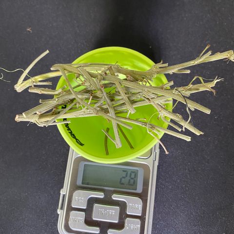 Colombian Gold #1 growlog photo: 15.4g de pipoquinhas
14.30g de bud (em média 1g cada 

2.8g de galhos