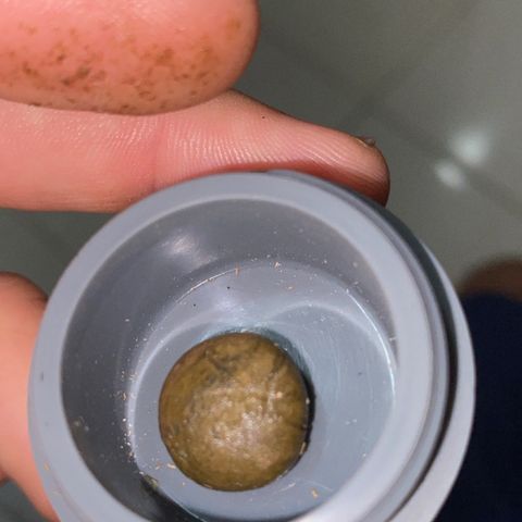 Colombian Gold #1 growlog photo: 1g de ice 
(Folhas da trima +3g de pipoquinha)