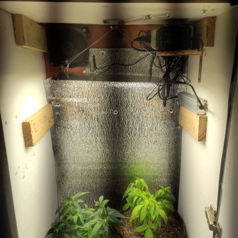 OBG Kush Clone growlog photo: Transplante + exaustor installed