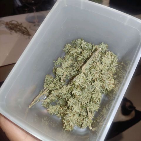 OBG Kush Clone #2 growlog photo: OBG kush #2 curing 22.82