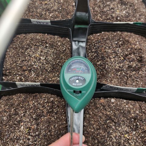 Kush auto growlog timeline photo