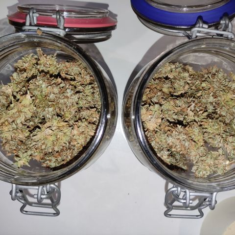 Royal Cookies  growlog timeline photo