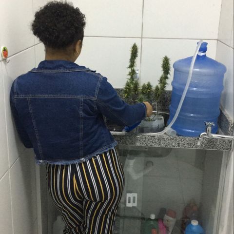 Prensado growlog timeline photo