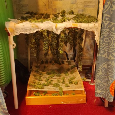 Супер Лемон хайнз  growlog timeline photo
