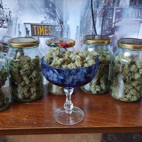 Горила авто  growlog timeline photo