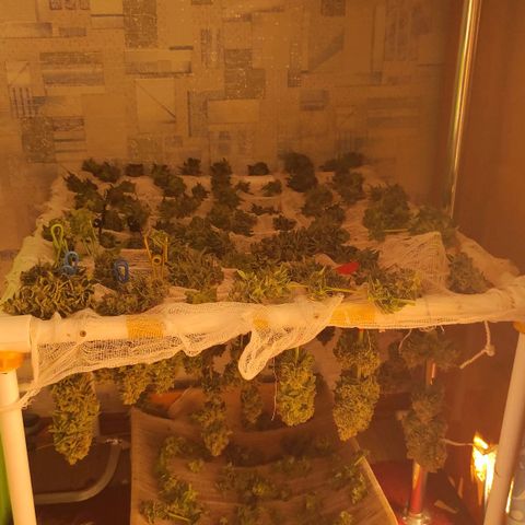 Bruce Banner  growlog timeline photo