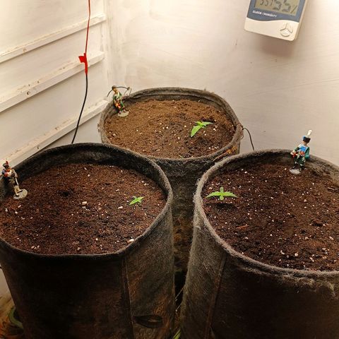 Джонни Кейдж 2  growlog timeline photo