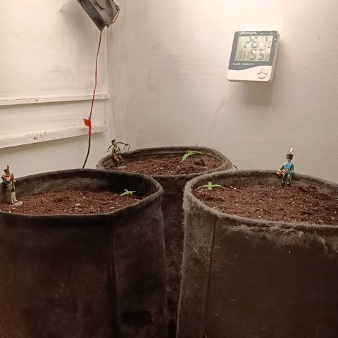 Джонни Кейдж 2  growlog timeline photo