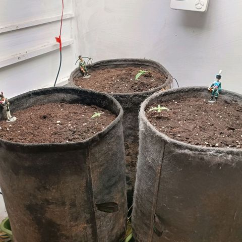 Джонни Кейдж 2  growlog timeline photo