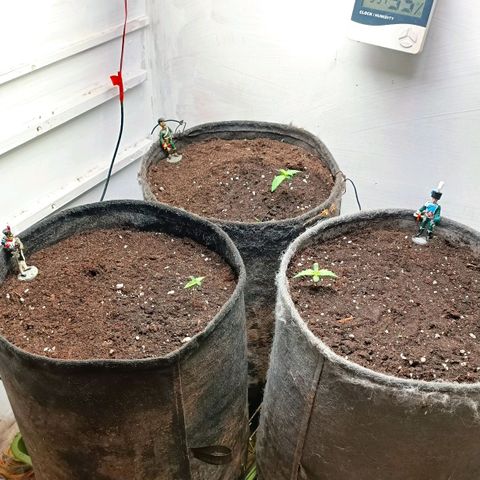Джонни Кейдж 2  growlog timeline photo